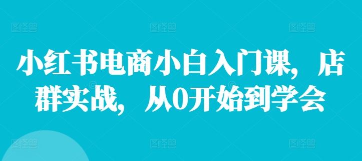 小红书电商小白入门课，店群实战，从0开始到学会-东升网创