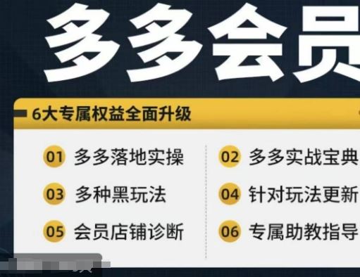 拼多多会员，拼多多实战宝典+实战落地实操，从新手到高阶内容全面覆盖-东升网创