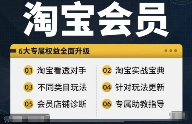 淘宝会员【淘宝所有课程，全面分析对手】，初级到高手全系实战宝典-东升网创