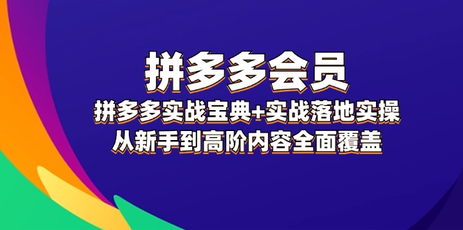 （12056期）拼多多 会员，拼多多实战宝典+实战落地实操，从新手到高阶内容全面覆盖-东升网创