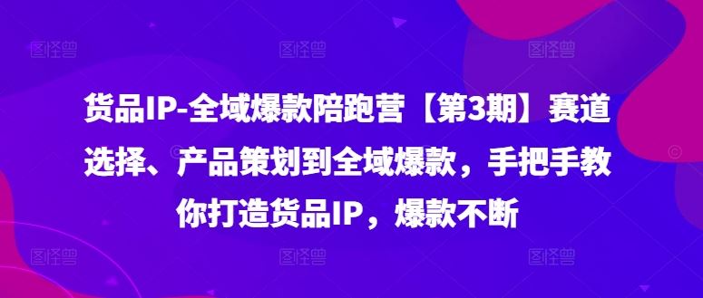 货品IP全域爆款陪跑营【第3期】赛道选择、产品策划到全域爆款，手把手教你打造货品IP，爆款不断-东升网创