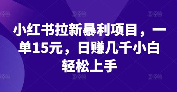 小红书拉新暴利项目，一单15元，日赚几千小白轻松上手【揭秘】-东升网创