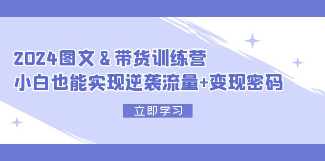 （12137期）2024 图文+带货训练营，小白也能实现逆袭流量+变现密码-东升网创