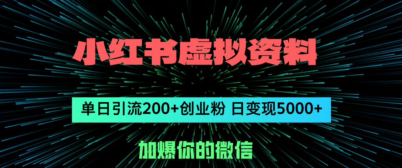 （12164期）小红书虚拟资料日引流200+创业粉，单日变现5000+-东升网创