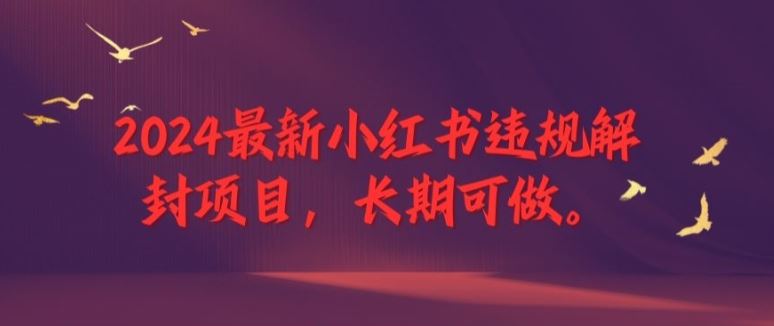 2024最新小红书违规解封项目，长期可做，一个可以做到退休的项目【揭秘】-东升网创