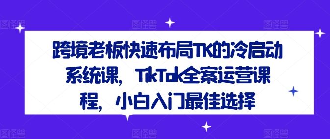 跨境老板快速布局TK的冷启动系统课，TikTok全案运营课程，小白入门最佳选择-东升网创