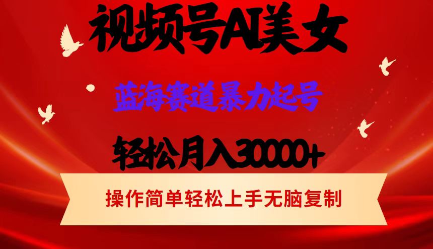 （12178期）视频号AI美女跳舞，轻松月入30000+，蓝海赛道，流量池巨大，起号猛，当…-东升网创
