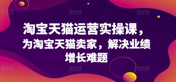 淘宝天猫运营实操课，为淘宝天猫卖家，解决业绩增长难题-东升网创