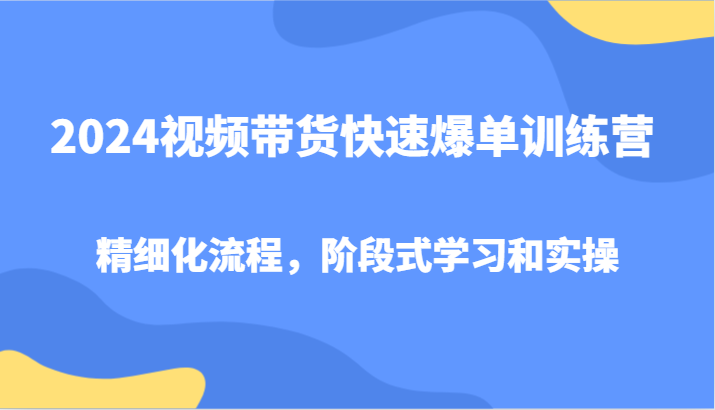 2024视频带货快速爆单训练营，精细化流程，阶段式学习和实操-东升网创