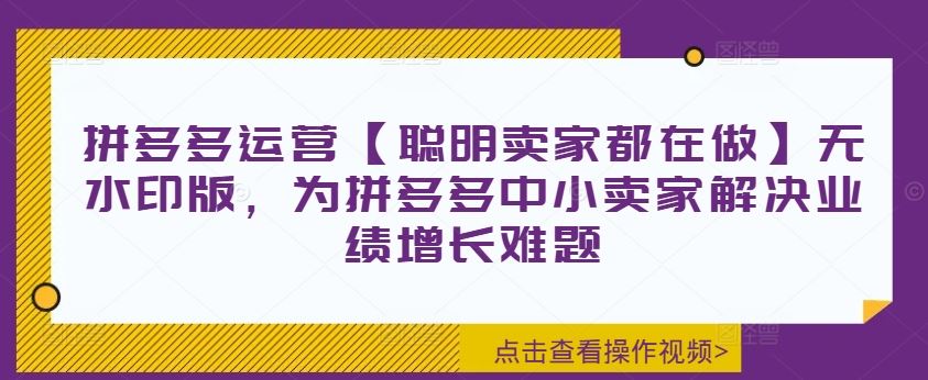 拼多多运营【聪明卖家都在做】无水印版，为拼多多中小卖家解决业绩增长难题-东升网创
