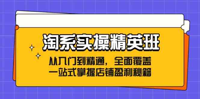 淘系实操精英班：从入门到精通，全面覆盖，一站式掌握店铺盈利秘籍-东升网创