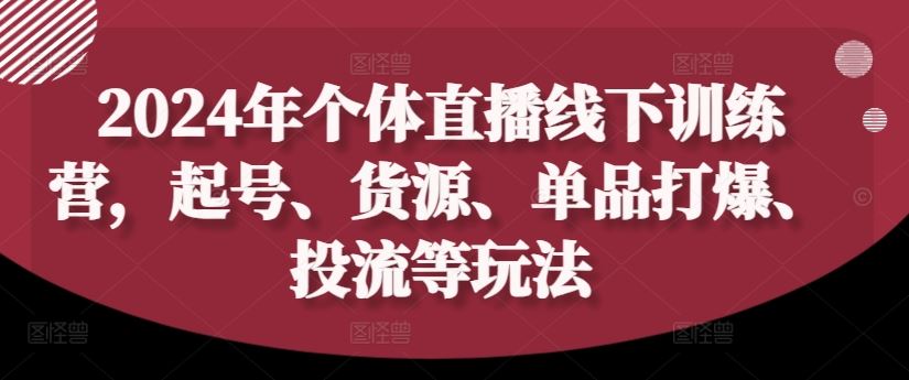 2024年个体直播训练营，起号、货源、单品打爆、投流等玩法-东升网创