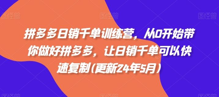拼多多日销千单训练营，从0开始带你做好拼多多，让日销千单可以快速复制(更新24年8月)-东升网创