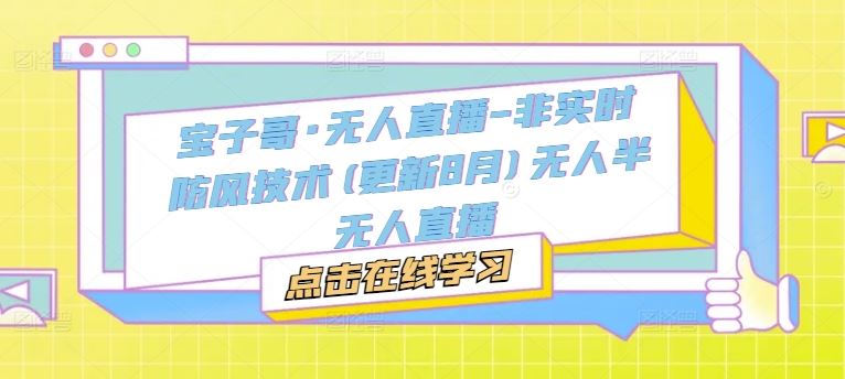 宝子哥·无人直播-非实时防风技术(更新8月)无人半无人直播-东升网创