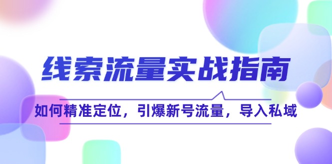 （12382期）线 索 流 量-实战指南：如何精准定位，引爆新号流量，导入私域-东升网创