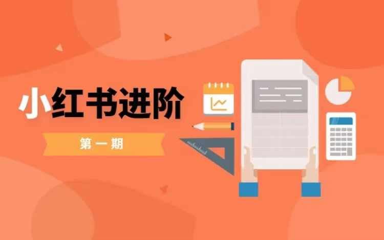小红书进阶篇，零基础小白实战课，普通人变现的课程-东升网创