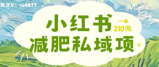 小红书减肥粉，私域变现项目，一单就达210元，小白也能轻松上手【揭秘】-东升网创