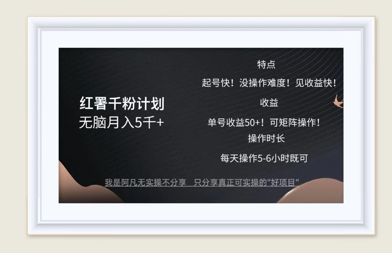 （12560期）红薯千粉计划无脑月入5千+！既做既赚！-东升网创