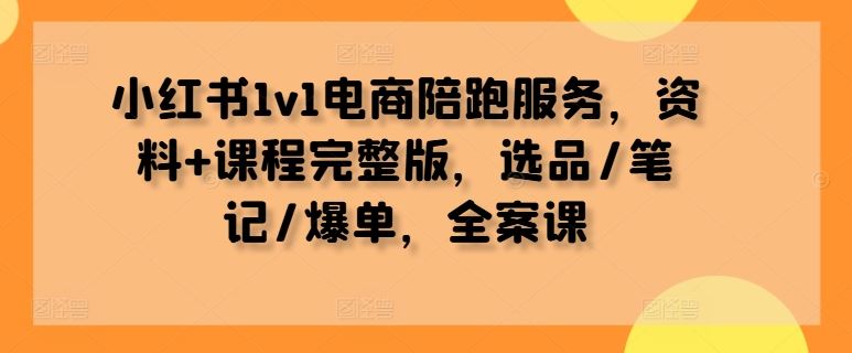 小红书1v1电商陪跑服务，资料+课程完整版，选品/笔记/爆单，全案课-东升网创
