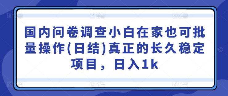 国内问卷调查小白在家也可批量操作(日结)真正的长久稳定项目，日入1k【揭秘】-东升网创