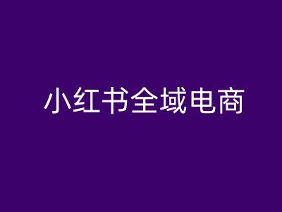 小红书全域电商，小红书电商教程-东升网创