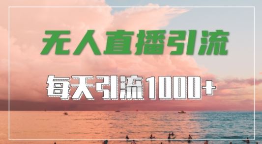 抖音快手视频号全平台通用，无人直播引流法，超暴力引流1000+高质量精准创业粉【揭秘】-东升网创