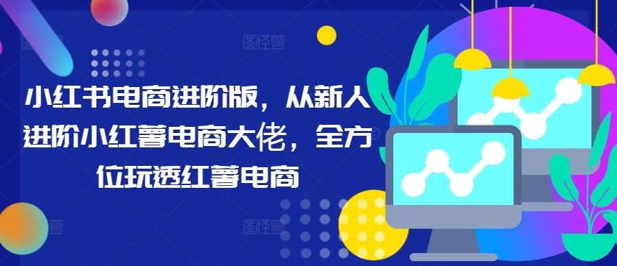 小红书电商进阶版，从新人进阶小红薯电商大佬，全方位玩透红薯电商-东升网创