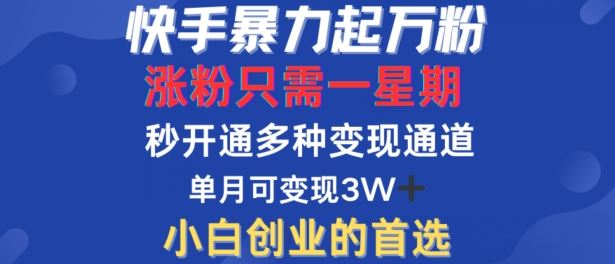 快手暴力起万粉，涨粉只需一星期，多种变现模式，直接秒开万合，单月变现过W【揭秘】-东升网创