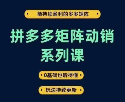 拼多多矩阵动销系列课，能持续盈利的多多矩阵，0基础也听得懂，玩法持续更新-东升网创