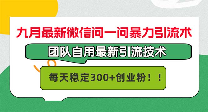 （12735期）九月最新微信问一问暴力引流术，团队自用引流术，每天稳定300+创…-东升网创