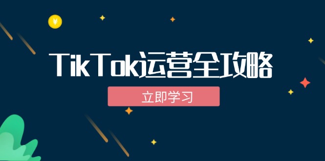 （12739期）TikTok实战运营全攻略：从下载软件到变现，抖音海外版实操教程-东升网创