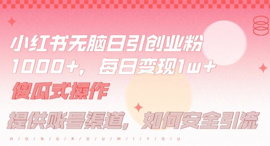 小红书无脑每日引流创业粉500+，小白每天只花半小时，躺赚长尾收益【揭秘】-东升网创
