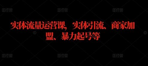 实体流量运营课，实体引流、商家加盟、暴力起号等-东升网创