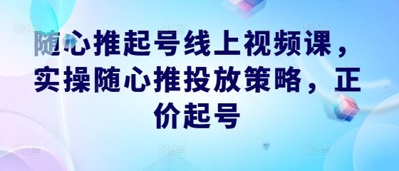 随心推起号线上视频课，实操随心推投放策略，正价起号-东升网创