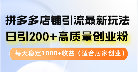 （12893期）拼多多店铺引流最新玩法，日引200+高质量创业粉，每天稳定1000+收益（…-东升网创