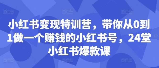 小红书变现特训营，带你从0到1做一个赚钱的小红书号，24堂小红书爆款课-东升网创