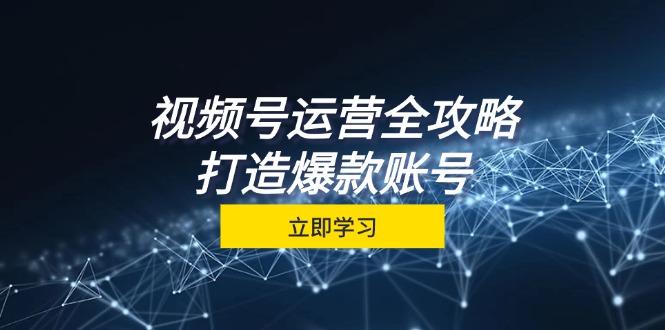视频号运营全攻略，从定位到成交一站式学习，视频号核心秘诀，打造爆款账号-东升网创