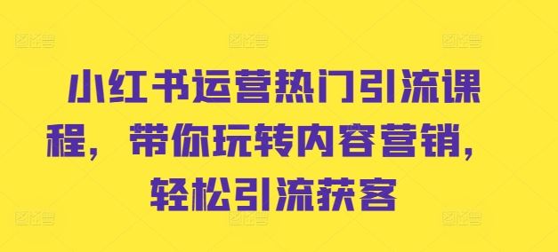 小红书运营热门引流课程，带你玩转内容营销，轻松引流获客-东升网创