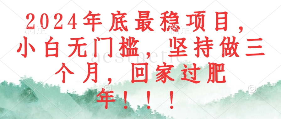 （12970期）2024年底最稳项目，小白无门槛，坚持做三个月，回家过肥年！！！-东升网创