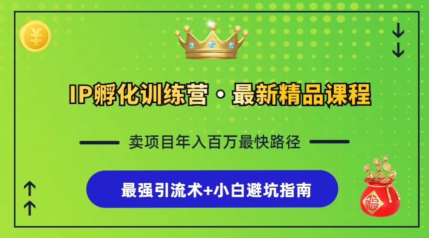 （13055期）IP孵化训练营，知识付费全流程+最强引流术+小白避坑指南-东升网创