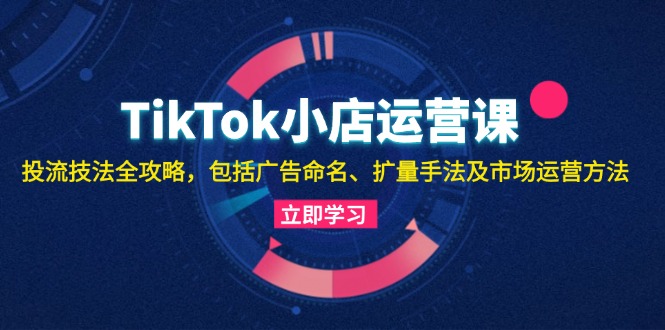 （13063期）TikTok小店运营课：投流技法全攻略，包括广告命名 扩量手法及市场运营方法-东升网创