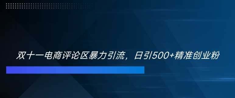 双十一电商评论区暴力引流，日引500+精准创业粉【揭秘】-东升网创