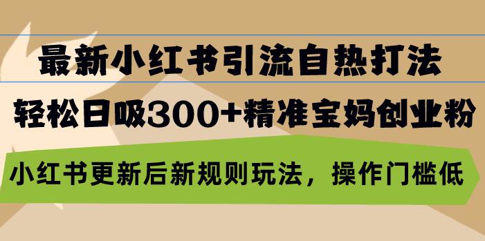 （13145期）最新小红书引流自热打法，轻松日吸300+精准宝妈创业粉，小红书更新后新…-东升网创