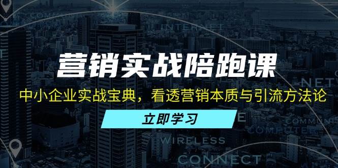 （13146期）营销实战陪跑课：中小企业实战宝典，看透营销本质与引流方法论-东升网创
