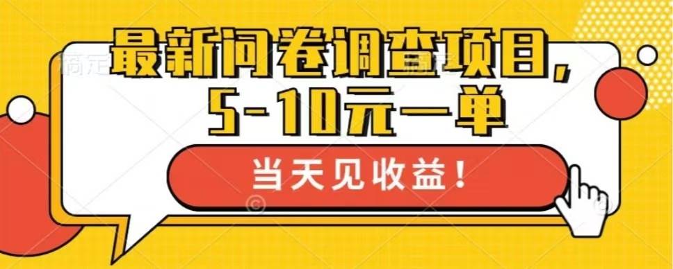 （13167期）最新问卷调查项目，单日零撸100＋-东升网创