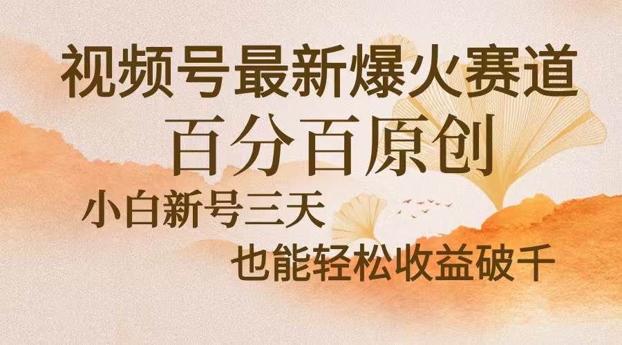 （13225期）视频号最新爆火赛道，中老年粉深信不疑，百分百原创，新号三天收益轻松…-东升网创