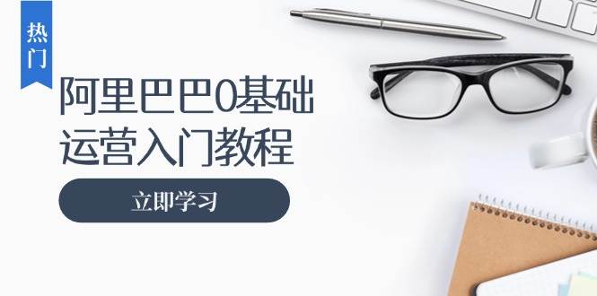 （13291期）阿里巴巴运营零基础入门教程：涵盖开店、运营、推广，快速成为电商高手-东升网创