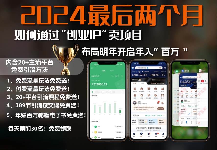 （13322期）2024最后两个月如何通过”创业IP“卖项目年入”百万“,创业IP+最强引流…-东升网创