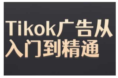 Tiktok Ads实操教程，Tiktok广告从入门到精通-东升网创