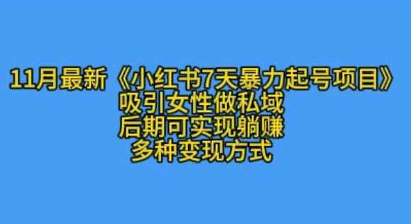 K总部落11月最新小红书7天暴力起号项目，吸引女性做私域【揭秘】-东升网创